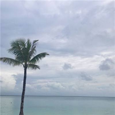 权倾沙城官方版下载