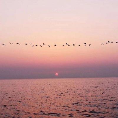 百万曹操传360版下载